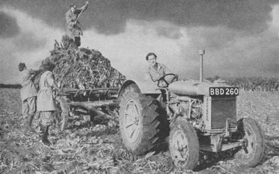 Kobieca armia lądowa zbierająca plony, II wojna światowa, 1940 autorstwa Unbekannt
