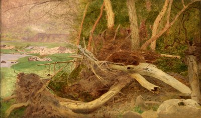 Zalesiony krajobraz z mostem, ca. 1860-1870. autorstwa Unbekannt