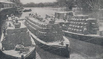 Barki wełniane na rzece Murray, 1923. autorstwa Unbekannt