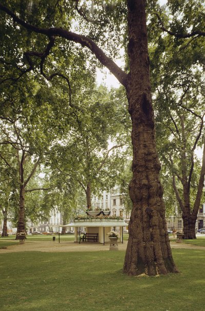 Berkeley Square, Londyn W1 autorstwa Unbekannt Unbekannt