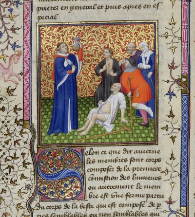 Ms.251 f.54v Lekarz ze swoimi pacjentami, z Des Proprietez des Choses, c.1415 autorstwa Unbekannt Unbekannt