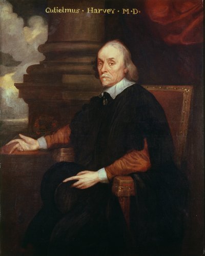 William Harvey (1578-1657) lekarz królewski, XVII wiek autorstwa Unbekannt Unbekannt