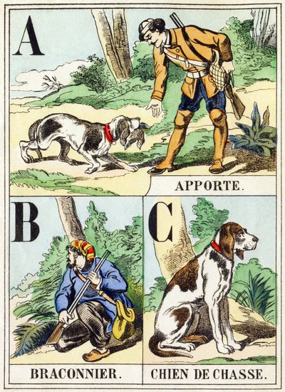 A B C: Przynieś, kłusownik, pies myśliwski — alfabet myśliwski, ok. 1890 r. (rycina) autorstwa Unbekannt