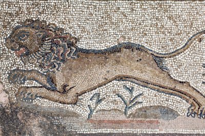 Lew - Fragment fryzu przedstawiający sceny z polowania obok panelu przedstawiającego pierwszą kąpiel Achillesa - Mozaiki Pafos, willa Tezeusza, V wiek ne - Cypr - Lew - Fragment fryzu przedstawiający sceny polowań wokół represje mozaikowe autorstwa William M. Timlin