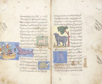 Strona z perskiego rękopisu „Aja”ib al-Makhluqat wa Ghara”ib al-Maujudat autorstwa Unbekannt