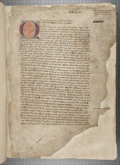 Transkrypcja, w trzech rękach, dzieł filozoficznych Marka Tulliusza Cycerona zaczerpnięta pozornie z editio romana z 1471 r., z marginaliami w ręku Archibalda Whitelawa i innych, ok. 1480 (tusz na pergaminie) autorstwa Unbekannt