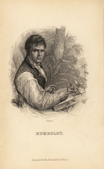 Alexander von Humboldt, niemiecki odkrywca, przyrodnik i botanik autorstwa Unbekannt