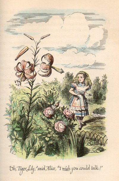 Alicja w krainie czarów i po drugiej stronie lustra — Lewis Carroll, ilustrowane przez Johna Tenniela autorstwa Unbekannt