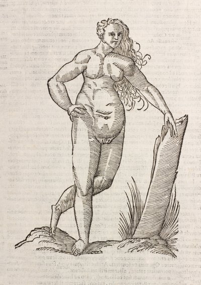 Androgynos autorstwa Unbekannt