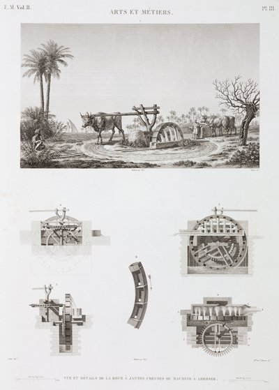 Animal Power Nawadnianie zasilane przez zwierzęta, Egipt, ok. 1798 autorstwa Unbekannt