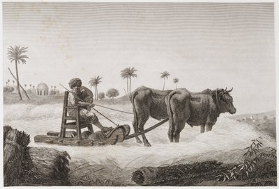 Rolnictwo, żniwa Młocarnia, Egipt, ok. 1798 r. autorstwa Unbekannt