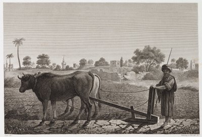 Rolnictwo, Orka Orka wołami, Egipt, ok. 1798 autorstwa Unbekannt