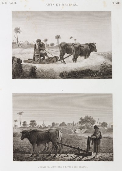 Rolnictwo, Orka Młocarnia i pług, Egipt, ok. 1798 autorstwa Unbekannt
