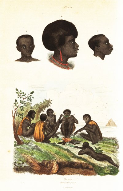 Australijscy Aborygeni i głowy tubylców z Waigeo, Papua Zachodnia 1834-1839 (rycina) autorstwa Unbekannter Künstler
