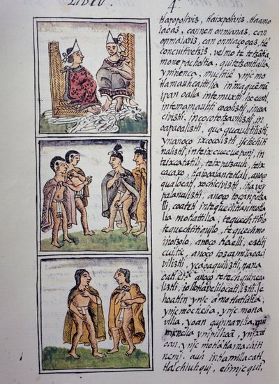 Społeczeństwo Azteków, Księga IV Kodeksu Florenckiego, Wersja dwujęzyczna w języku hiszpańskim i nahuatl, Ogólna historia rzeczy Nowej Hiszpanii, Cywilizacja Azteków autorstwa William M. Timlin
