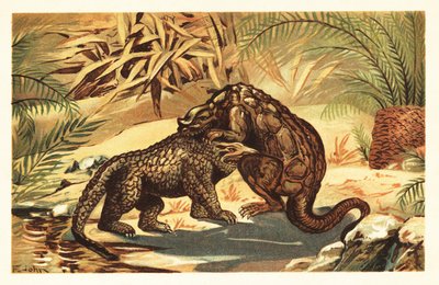 Bitwa pomiędzy Megalosaurus bucklandii a Iguanodon bernissar1908 (litografia) autorstwa Unbekannter Künstler