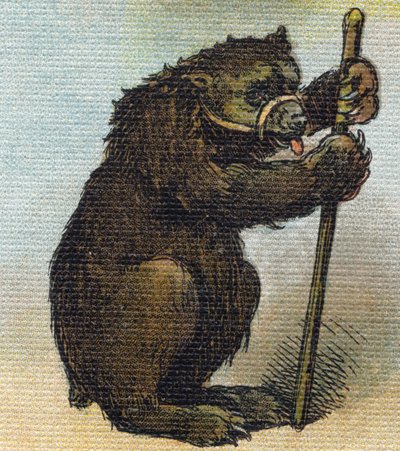 Niedźwiedź. Grawerowanie w "Alfabet de ma petite fille". Bernardin-Bechet i Fils, księgarz-wydawnictwo, Paryż, ok. 1895. Niezniszczalny album na płótnie. Bibliotheque des Bebes. 12 stron. Album zawierający sposób czytania i ilustracyjne abecedary. Wymiary: autorstwa Unbekannt
