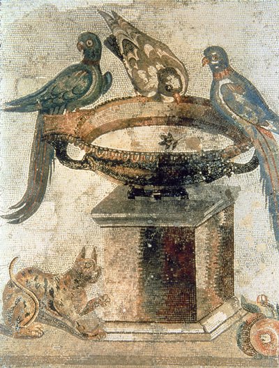 Ptaki i zasadzkowy kot z Pompejów autorstwa Unbekannter Künstler