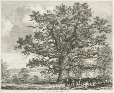 Blithfield - Squitch-bank Oak : akwaforta, 1824 autorstwa Unbekannt