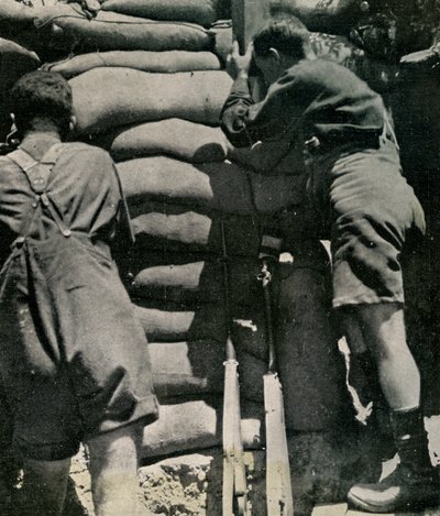 Wojska brytyjskie walczące w spodenkach Khaki-drill, Półwysep Gallipoli autorstwa Unbekannt