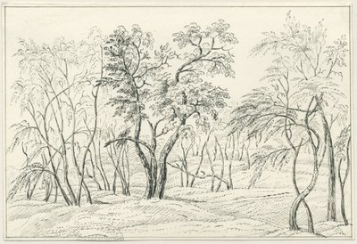 Cannock Chase: rysunek piórem i ołówkiem, bd [?XIX w.] autorstwa Unbekannt