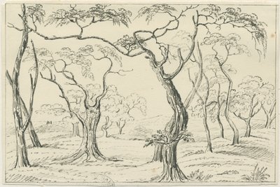 Cannock Chase: rysunek piórem i ołówkiem, bd [?XIX w.] autorstwa Unbekannt