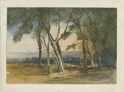 Cannock Chase: obraz akwarelowy, 1848 autorstwa Unbekannt