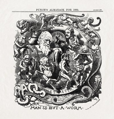 Karykatura na temat teorii ewolucji Karola Darwina (1809-1882): "Man is but a worm" (Człowiek jest tylko robakiem) z "Punch" 06/12/1881 r. autorstwa Unbekannter Künstler