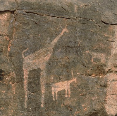 Zbliżenie prehistorycznych malowideł, pustynia Tenere, Niger autorstwa Benjamin Baud