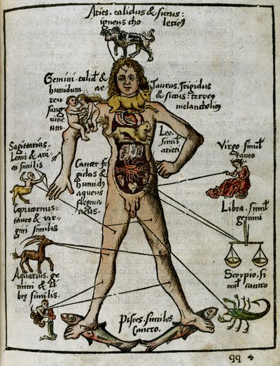 Kosmografia z XVI wieku: człowiek zodiaku autorstwa Unbekannt