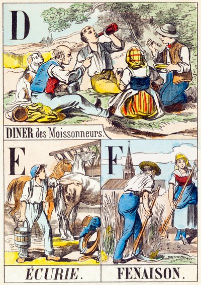 D E F: Diner des Moissonneurs, Ecurie, Fenaison - „Alfabet farmy” koniec XIX wieku (rycina) autorstwa Unbekannt
