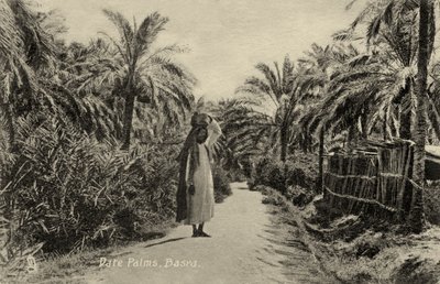 Palmy daktylowe, Basra autorstwa Unbekannter Künstler