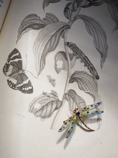 Biżuteria z owadami i owadami Deborah Devonshire na szczycie „Metamorphosis Insectorum” autorstwa Marii Sibylli Merian autorstwa Thomas Kelly