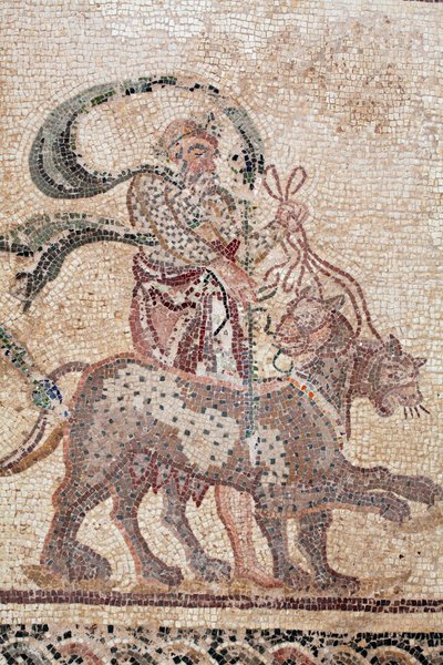 Szczegół Triumfu Dionizosa - Powrót boga z ekspedycji wojskowej do Indii - Silenus trzymający lejce Panter - Mozaiki z Pafos, Dom Dionizosa, koniec II wieku naszej ery - Cypr - Triumf Dionizosa - Długa mozaika autorstwa William M. Timlin