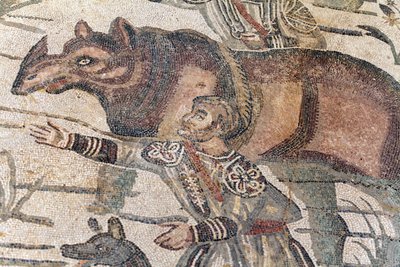 Szczegóły wielkiej mozaiki polowania. Nosorożec jest wprowadzany na łódź, aby przetransportować go do najbliższego portu. III - IV wiek. Rzymska willa Casale, Sycylia. UNESCO. autorstwa William M. Timlin