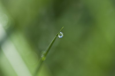 Kropla (zdjęcie) autorstwa Unbekannter Künstler
