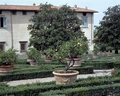 Widok zewnętrzny willi Medicea di Castello i ogród (zdjęcie) autorstwa Unbekannt