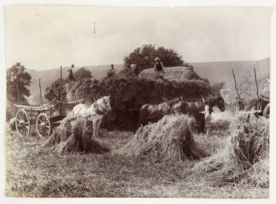 Sceny rolnicze, zbieranie i przechowywanie, żniwa sprzed 1900 r., ok. 1890 r autorstwa Unbekannt