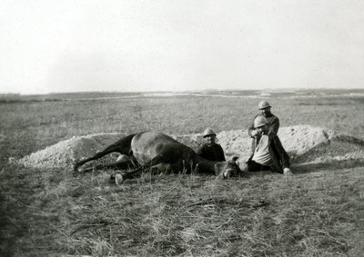 I wojna światowa 14-18 (1914-1918): trzej francuscy żołnierze grzebią martwego konia - fotografia na płycie szklanej autorstwa Unbekannter Künstler