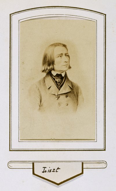 Franciszek Liszt w młodości autorstwa Unbekannter Künstler