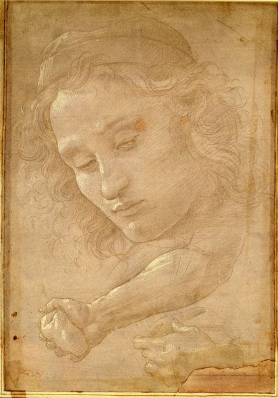 Głowa młodzieńca, czerpiąca ze strony „Libro dei Disegni” Giorgio Vasari autorstwa Unbekannt