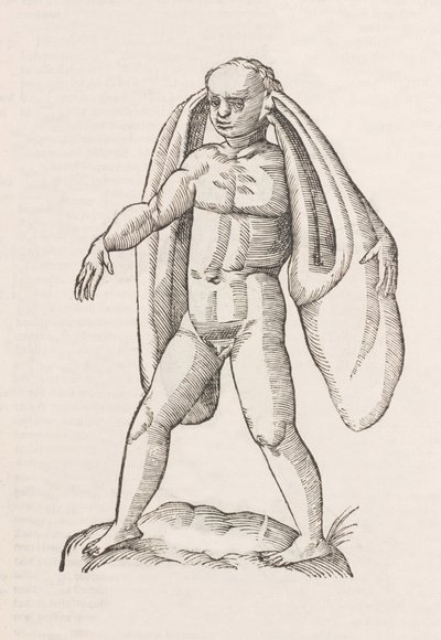 Homo fanesius auritus autorstwa Unbekannt