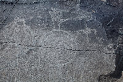 Indian Petroglyphs - Animal and Symbolic Reprezentacja - Petroglyph National Monument - Albuquerque, Nowy Meksyk, USA (USA) autorstwa William M. Timlin
