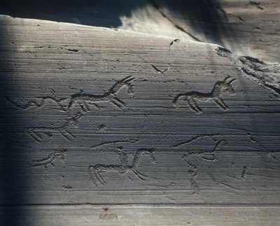 Итали, Ломбарди, Камоника хөндий, рокполи дээрх хадны сүг зураг autorstwa Benjamin Baud