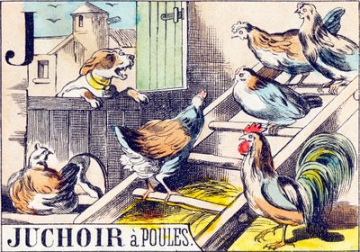 J Juchoir a poules - "Alfabet folwarczny" koniec XIX w. (rycina) autorstwa Unbekannt