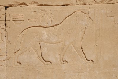 Rzeźba lwa, Karnak, Luxor, Egipt (zdjęcie) autorstwa Unbekannt