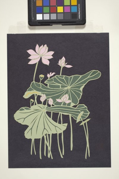 Lotus (wielokolorowy papier cięty) autorstwa Unbekannter Künstler