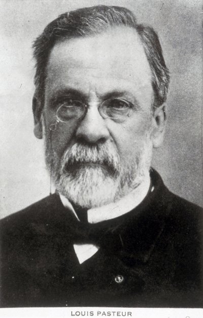 Louis Pasteur, francuski chemik i mikrobiolog, ok. 1885 r. autorstwa Unbekannter Künstler