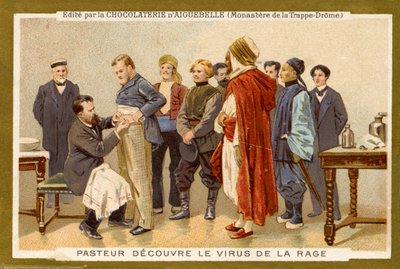 Louis Pasteur odkrywa wirusa wścieklizny autorstwa Unbekannter Künstler