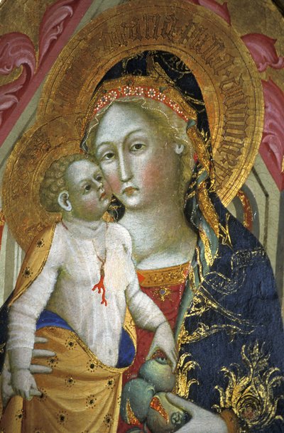Madonna z Dzieciątkiem, Francesco di Gentile, XIV w., Muzeum Piersanti, Matelica, Marche, Włochy autorstwa Unbekannt
